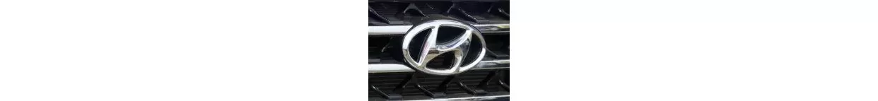 Vans Hyundai Commercial Carbon Fiber, Wooden look dash trim kits
