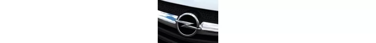 Vans Opel Commercial Carbon Fiber, Wooden look dash trim kits