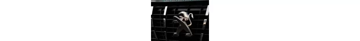 Vans Peugeot Commercial Carbon Fiber, Wooden look dash trim kits